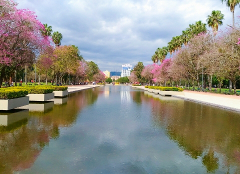 Viaje para Porto Alegre - Rio Grande do Sul com Zupper.