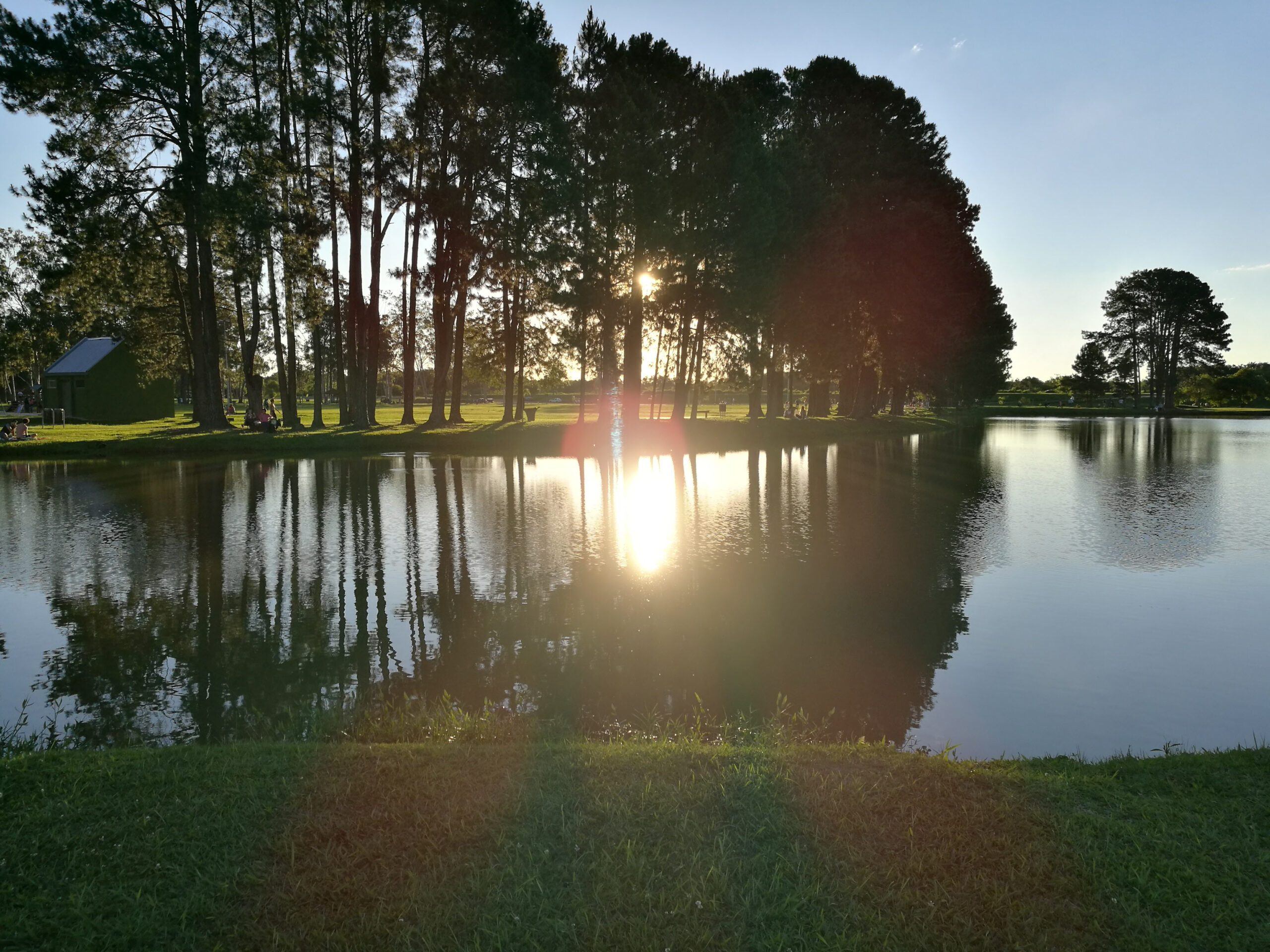 Sun,And,Trees,Behind,The,Lake,At,Park,Sao,Jose